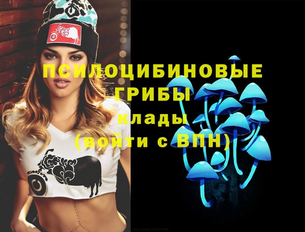 МДПВ Белокуриха