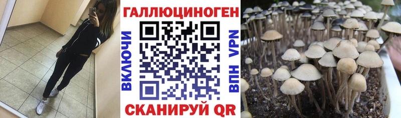 Псилоцибиновые грибы GOLDEN TEACHER Окуловка